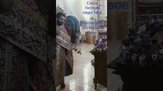 Спаси Господи люди Твоя и благослови достояние Твое.. 