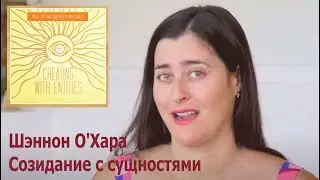 Шэннон О'Хара «Специализированный класс: Созидание с сущностями, часть 1»