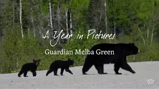 A Year in Pictures – Through Melba's Eyes