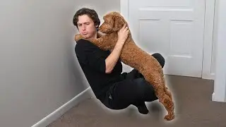 I taught my dog to hug me when he's sorry