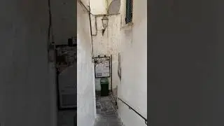 Продолжаем прогулку 😉 ❤️