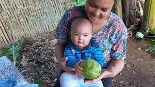 Maliit na Taniman