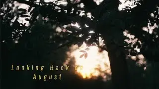 August Vlog // Garden Party, Berlin Getaway, Preserving our Tomatoes, Harvesting