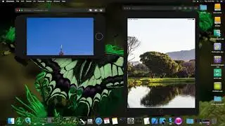 SwiftUI 2 - Image Zoom and Pan
