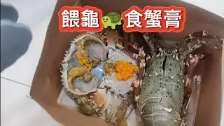 餵龜食蟹膏 結果如何呢😜？