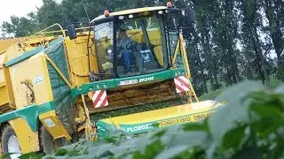 Ploeger Bp 2140 at Bean harvesting.