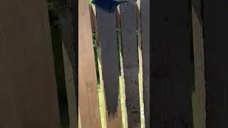 Did He Really Paint That Fence Black?