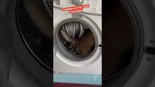 Британские котята занимаются физ культурой