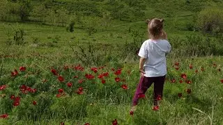 на Лазоревые цветы с детьми 😍