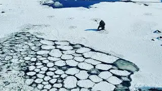 А мы сегодня едем на природу