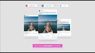 Animated Social Media Posts Royalty Free Download - After Effects Templates