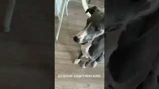 Команда 