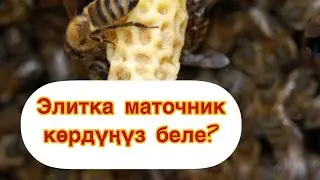 Мындайды көргөн эмессиң.😉