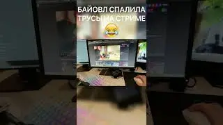 БАЙОВЛ СПАЛИЛА ТРУСЫ НА СТРИМЕ!! 