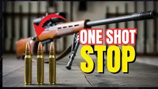 Top 6 Hunting Cartridges for 2025 (Pro Guide Analysis)