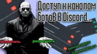 🔒Доступ к каналам ботов в Discord🔓
