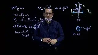 Fluid Properties: Capillary Action/Motion