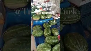 Турция.Авсаллар Базар.3 июля.Vip  transfer Mercedes Vito Aeroprt Antalya, Alanya. @Ttansferturk
