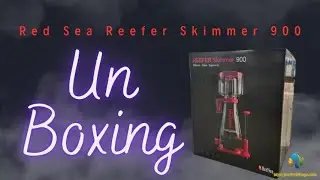 开箱红海Reefer蛋分 Unboxing Red Sea Reefer Skimmer 900