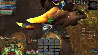 Pure vs Mythic Terros, Resto Druid PoV