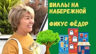 МЕРСИН, КАЖДОЕ УТРО  ОДНО И ТОЖЕ. ТУРЦИЯ МЕРСИН НЕДВИЖИМОСТЬ