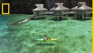 Le récif corallien aux Philippines est un nid de biodiversité