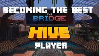 Becoming THE BEST HIVE BRIDGE PLAYER