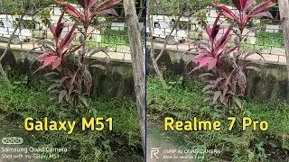Samsung Galaxy M51 vs Realme 7 Pro camera comparison | Realme 7 Pro Vs Galaxy M51 | Tech 4 camera
