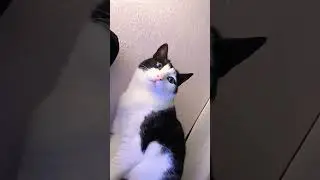 Полетели