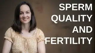 Sperm quality and fertility: tips on bringing your partner on board for healthy lifestyle changes