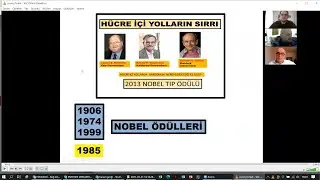 Hücre İçi Yolların Sırrı ve Posta Kodu