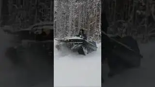 тингер  по большому снегу