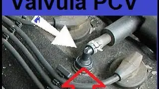 Lo que no sabes sobre la Valvula PCV de tu Auto IMPORTANTE!!