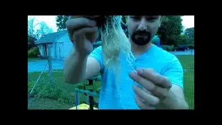 Hydroponic at Jedediah Hawking Inn