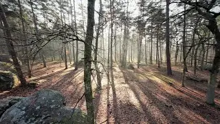 FOREST SPIRIT | FPV
