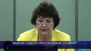 Важни съвети при ухапване от змия
