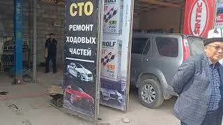 унаанын баардык турун ондойбуз айрыкча портерлерди