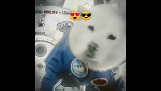 super star