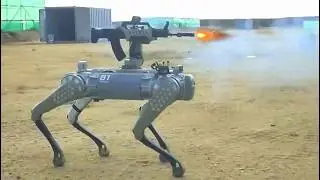 These combat robots shock the world!