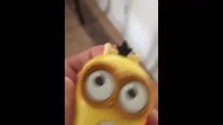 Minion - WTF