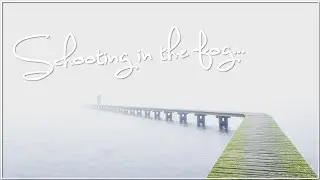 Foggy Morning Photoshoot