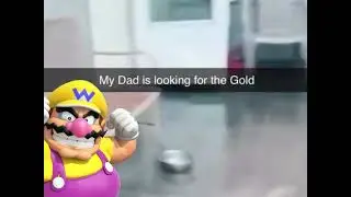 Wario just wanted some gold