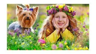 Find Fun Loving Pets At Petland Today 💟