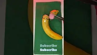 Operation banana, Brain transplantation 