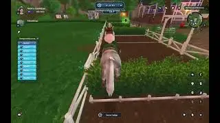 Star Stable• Baroness Racetrack Championship
