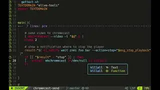 Coding a chromecast streamer with Elive tools and Copilot