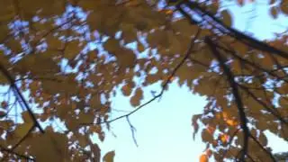 Абрахам-Хикс. Фрагменты семинаров. Эпизод 4. Что если я хочу именно его?