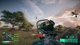 what a nice snipe