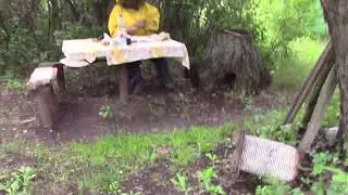 осмотр  пчелиной  семьи