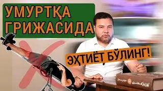 Умуртқа 